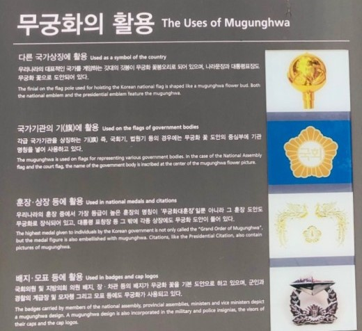 무궁화의 활용