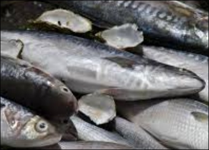 10월 제철 음식-5