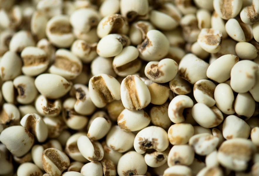 많이 놓여 있는 율무