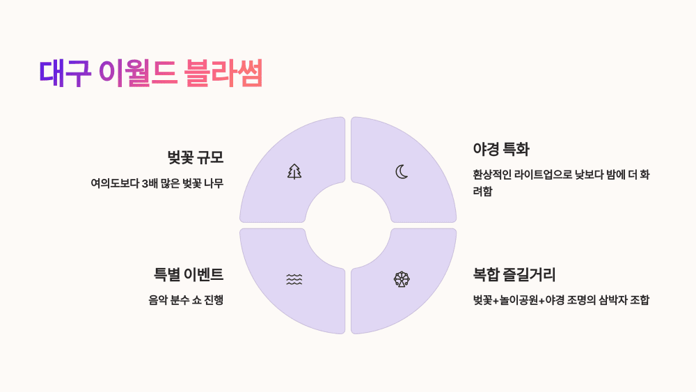 대구 이월드 블라썸 – 야경 벚꽃+놀이공원 환상 조합