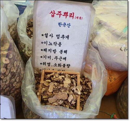 삽주뿌리 백출