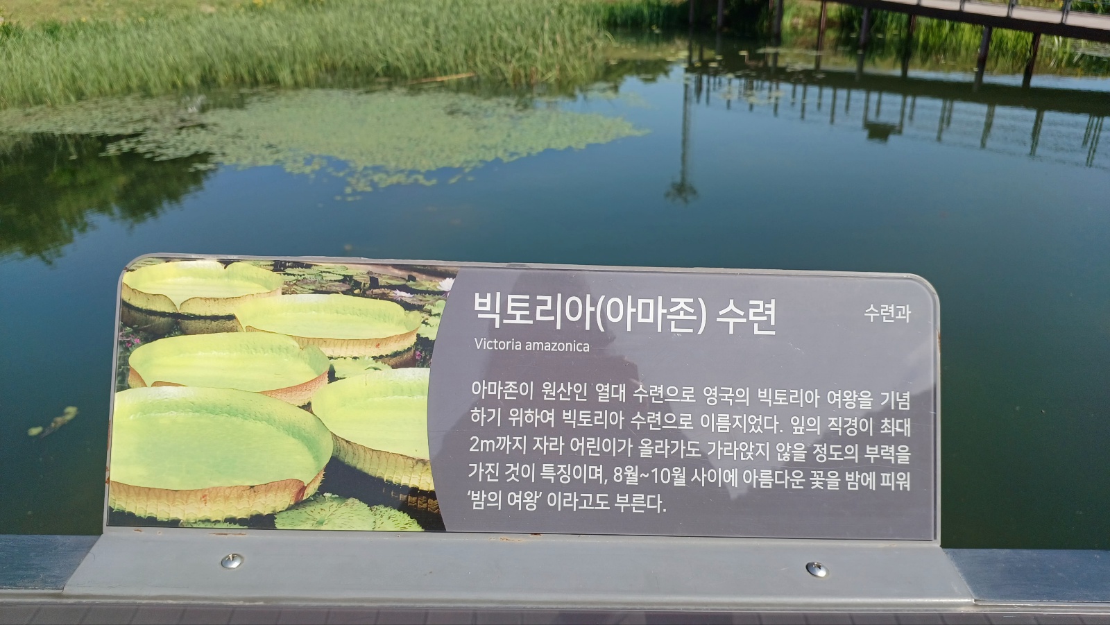 옥연지 송해공원39