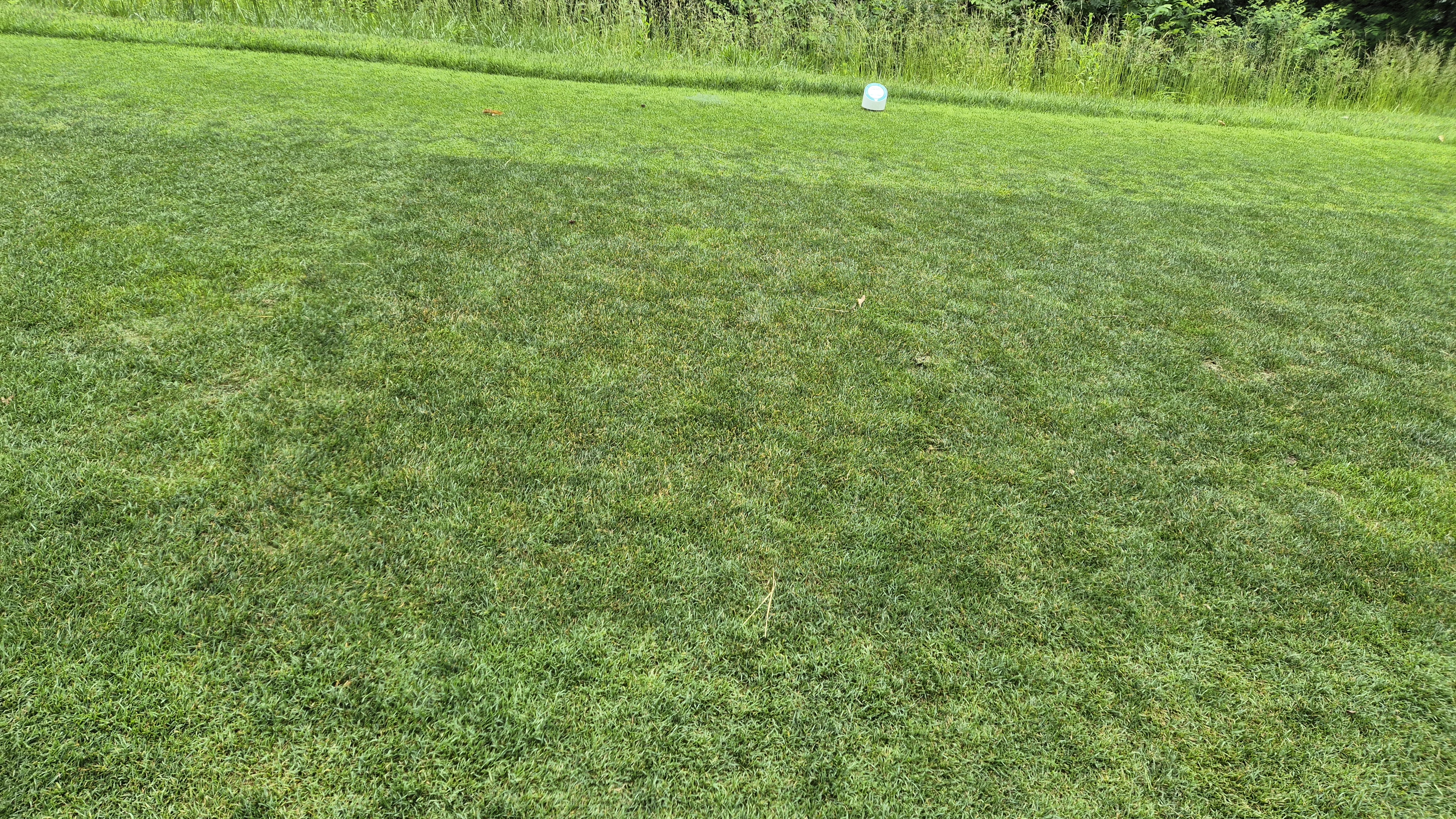 샴발라cc 라운드 후기