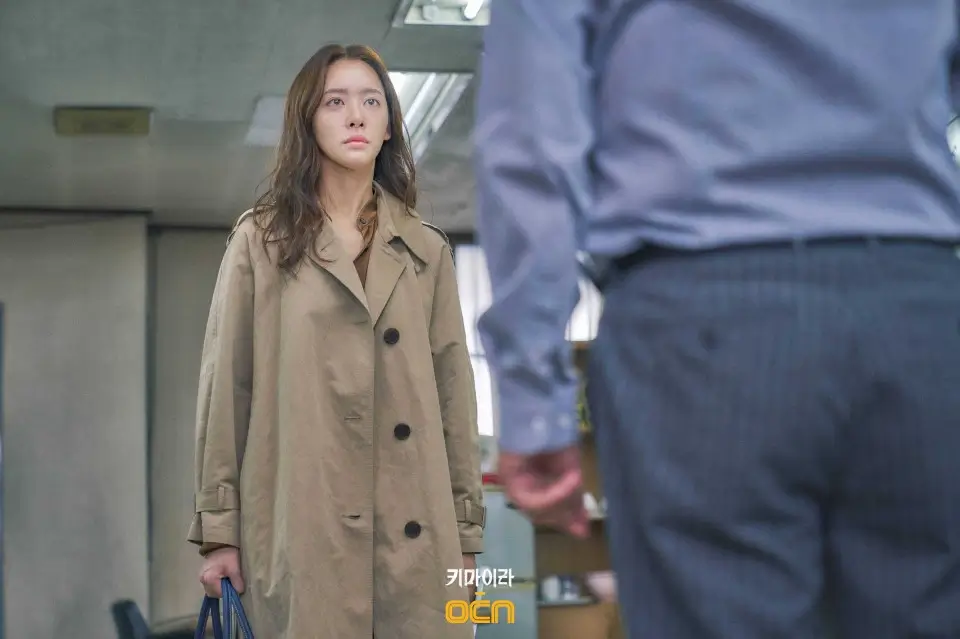 키마이라 드라마 뜻 줄거리 출연진 결말