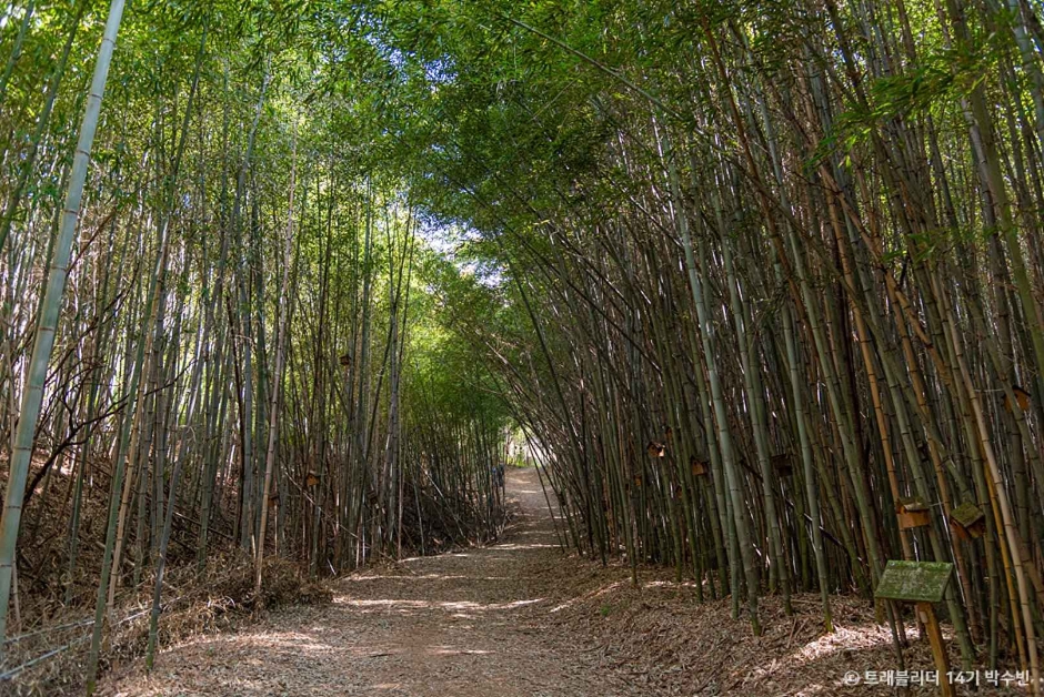 홍성 가볼만한곳 베스트10