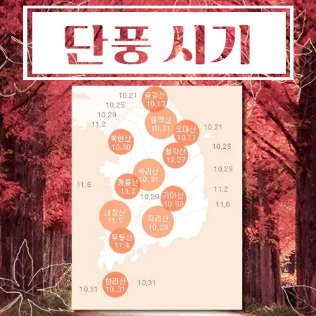 단풍 시기