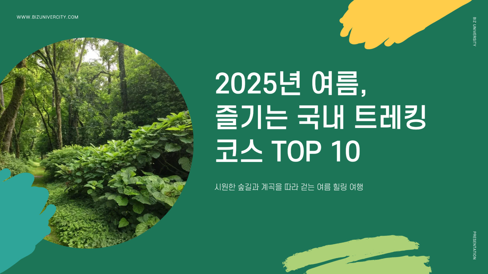 초보자도 즐기는 국내 트레킹 코스