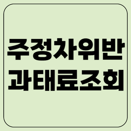 주정차 위반 과태료 조회! 실시간 확인 & 납부 방법 총정리