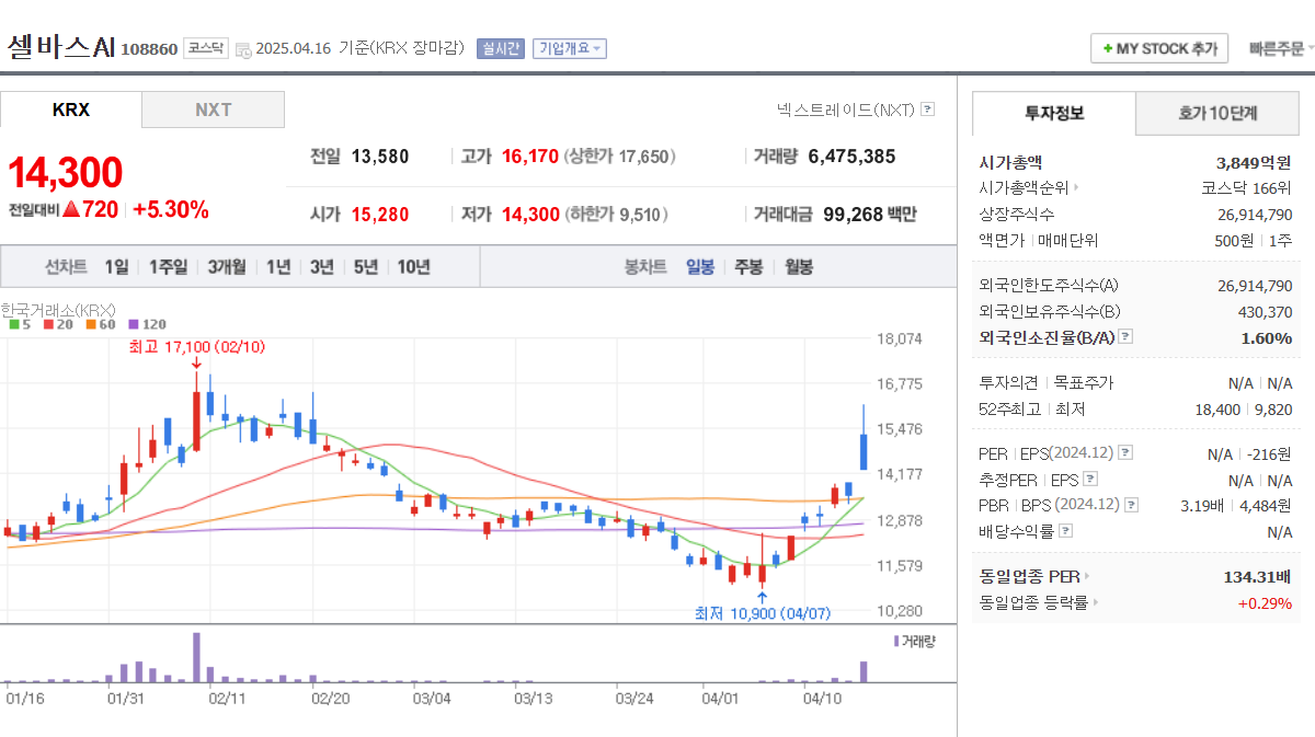 2025 의료AI 관련주 셀바스AI