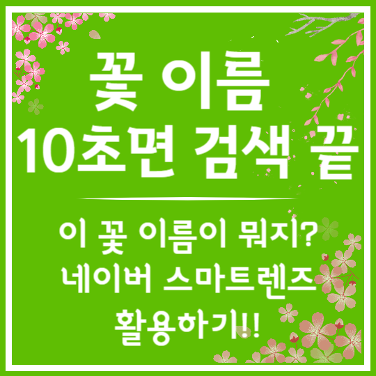네이버 스마트렌즈로 꽃 이름 검색