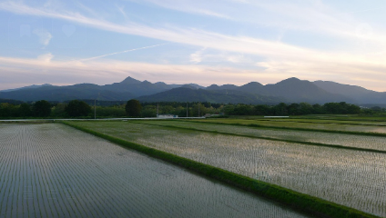 주말농장 임대 방법 관련 방법