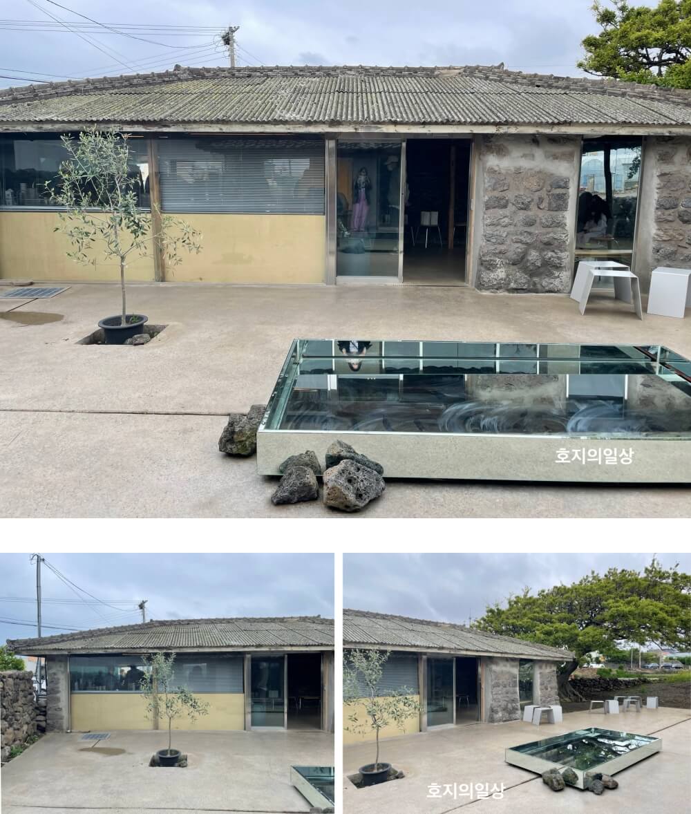 애월 카페 커피냅로스터스 제주 - 거울 좌석과무 나무