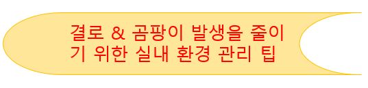 결로 & 곰팡이 발생을 줄이기 위한 실내 환경 관리 팁