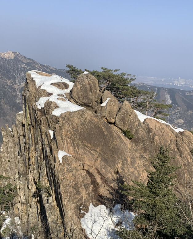 설악산 케이블카 운행시간, 예약, 요금 총정리
