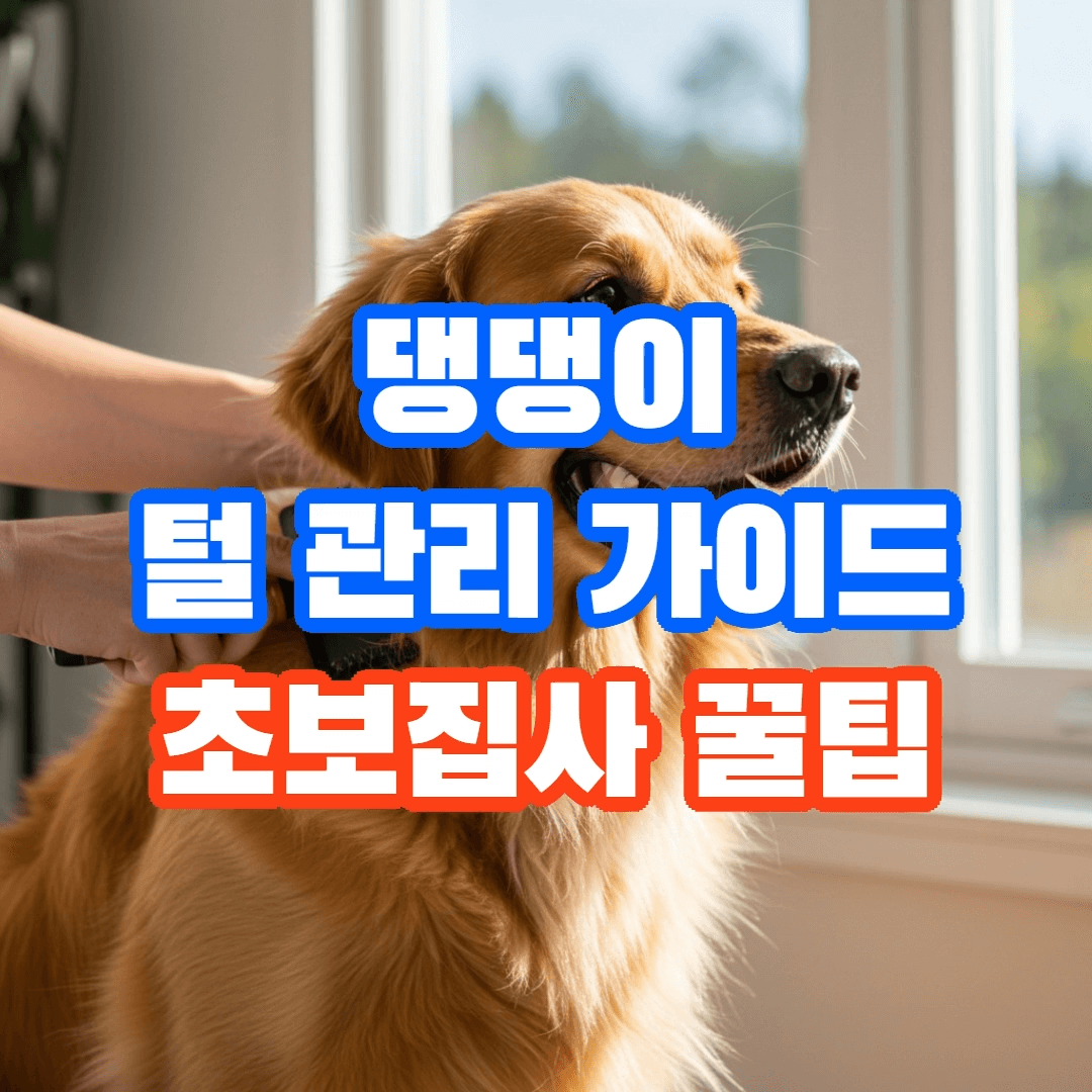 반려견 털 관리 가이드, 초보 주인을 위한 완벽 가이드 🐕