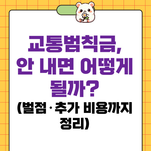 교통범칙금