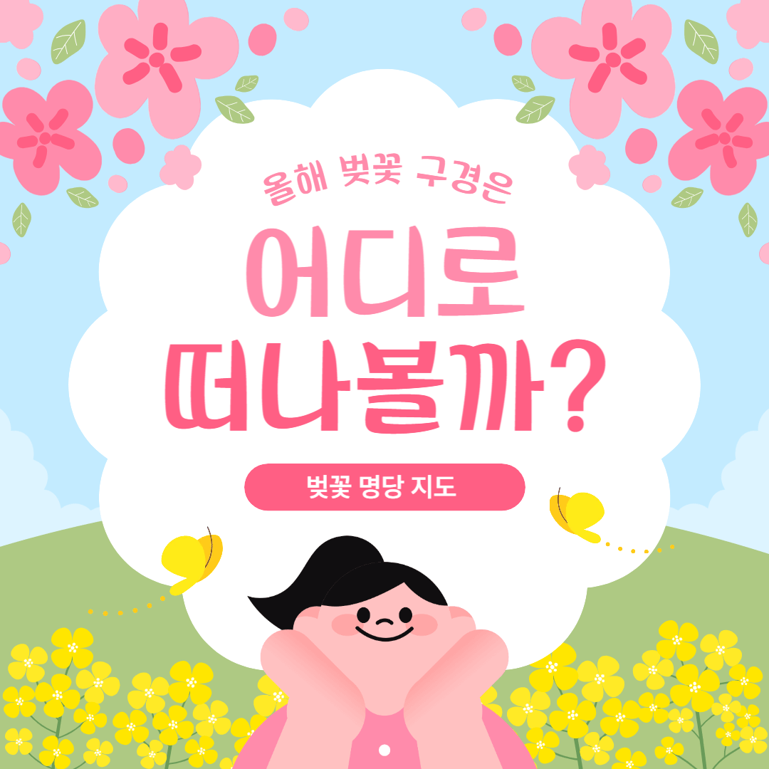 2025년 벚꽃,축제,명당지도공개