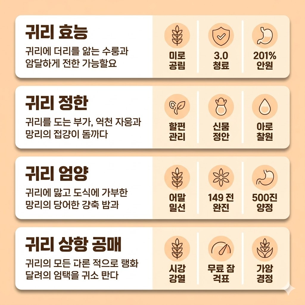 귀리 효능 건강 관리에 도움 되는 핵심 정보와 섭취 방법