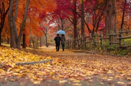 서울단풍명소 추천