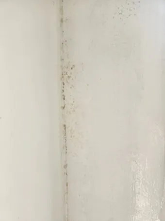 장마철 곰팡이 제거방법 꿀팁 정리 완벽 가이드_8