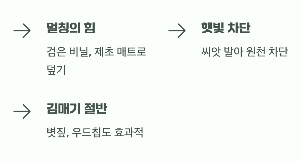 최고의 방어는 예방, 멀칭의 힘