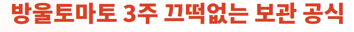 토마토 보관방법
