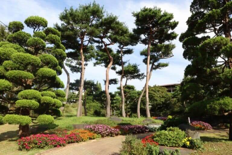 그림 같은 수목원