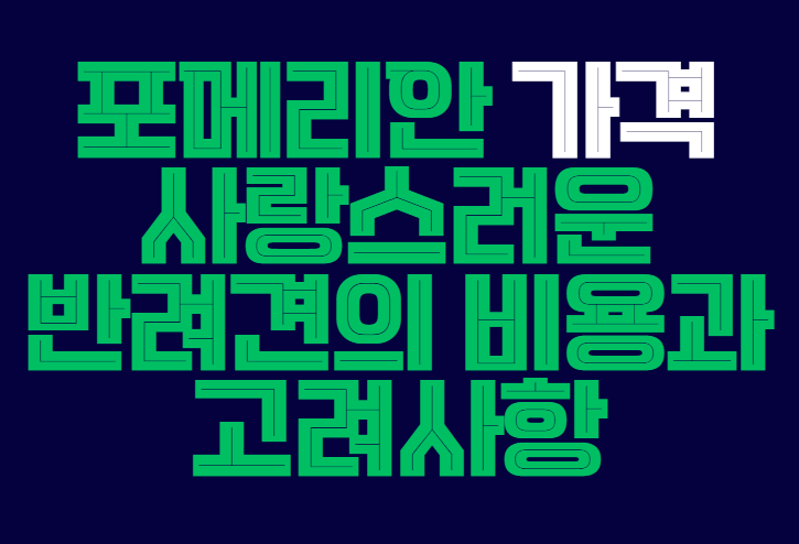 포메리안_가격