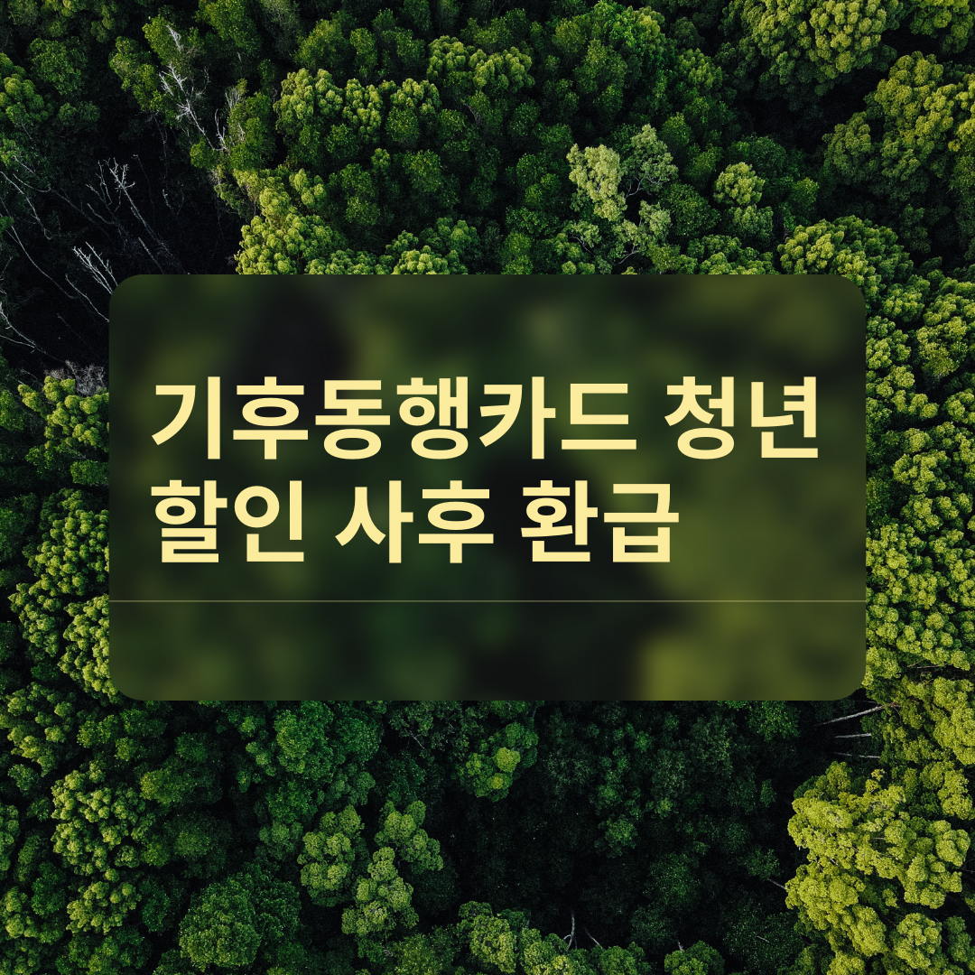 기후동행카드 청년 할인 사후 환급, 놓치지 마세요! 신청 방법 총정리
