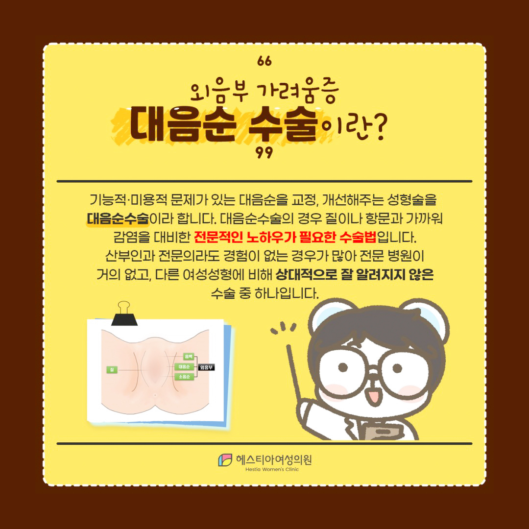외음부 가려움증 대음순수술