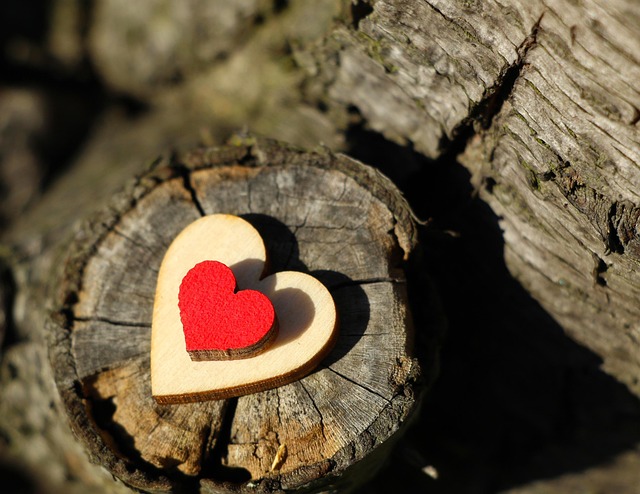 가슴 두근거림부터 실신까지, 심혈관 자가진단 체크리스트