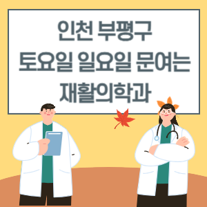 인천 부평구 토요일 일요일 재활의학과 진료 병원 리스트
