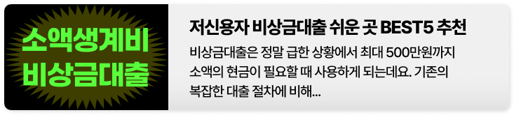 2023년 전국민 일상지원금
