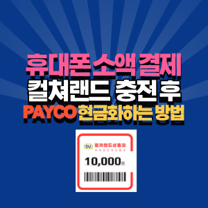 휴대폰-소액-결제-페이코-현금화-방법