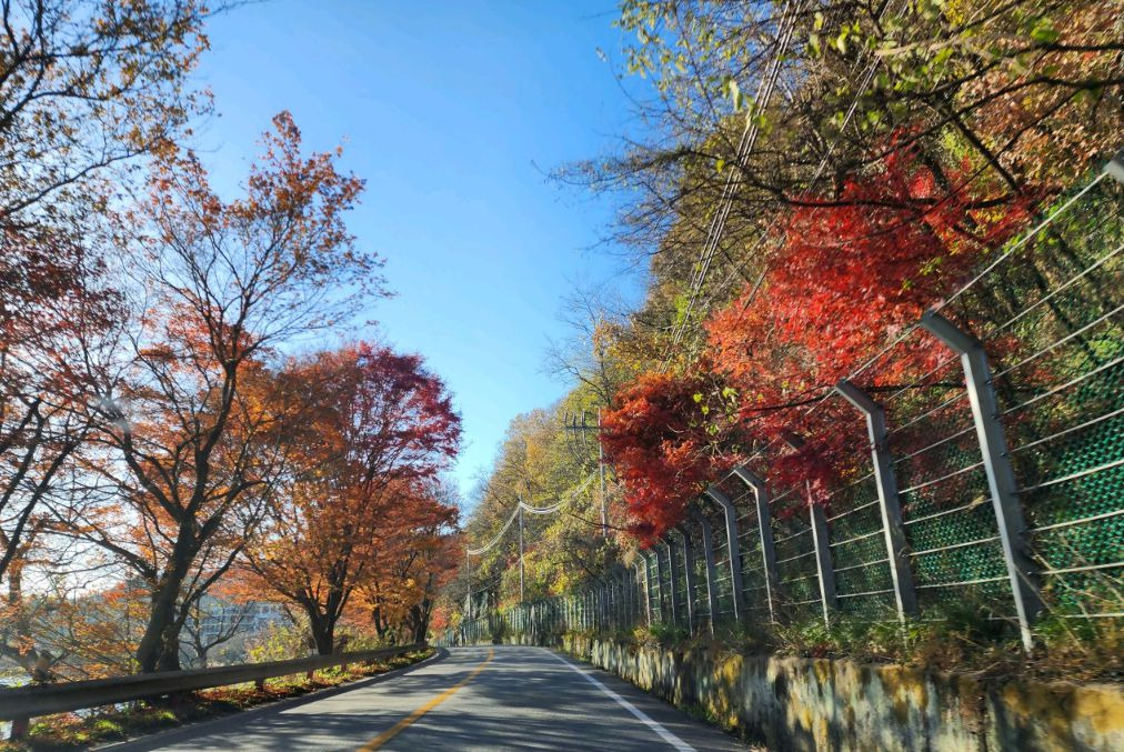 드들강솔밭유원지