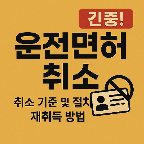 운전면허 취소 기준