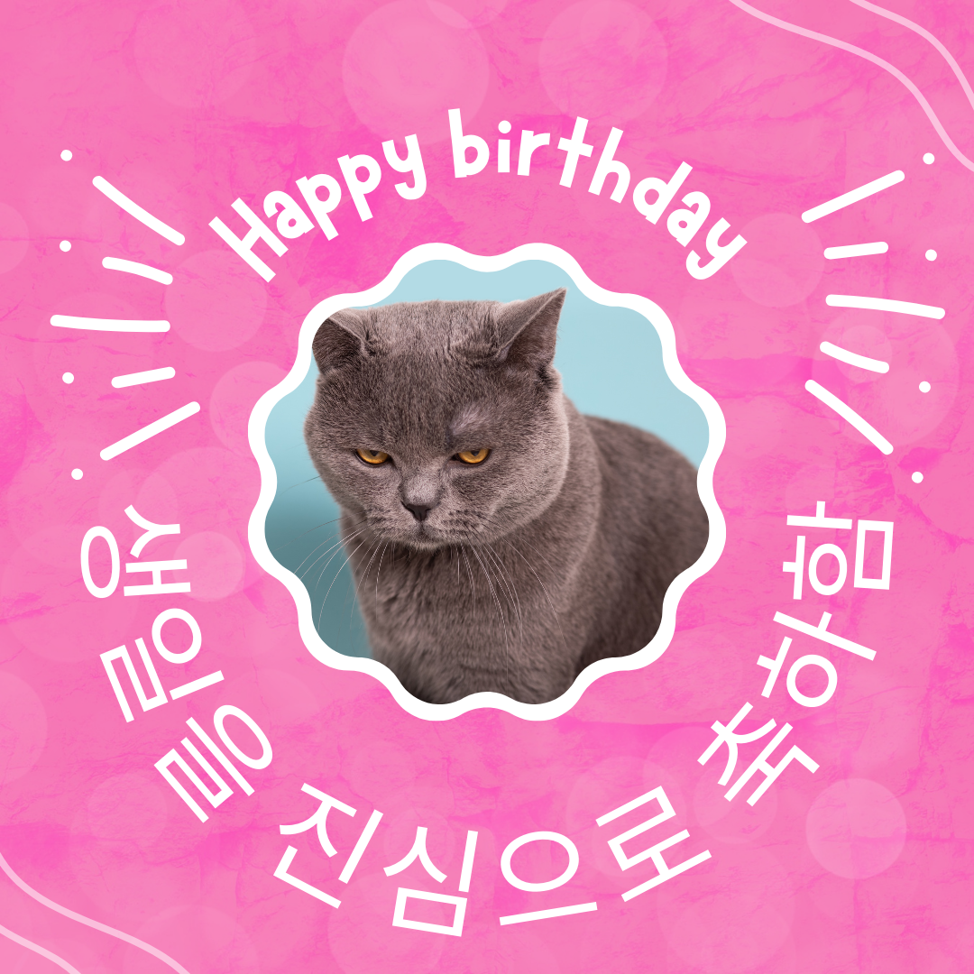 생일 축하 메세지 문구 인사말 이미지 모음