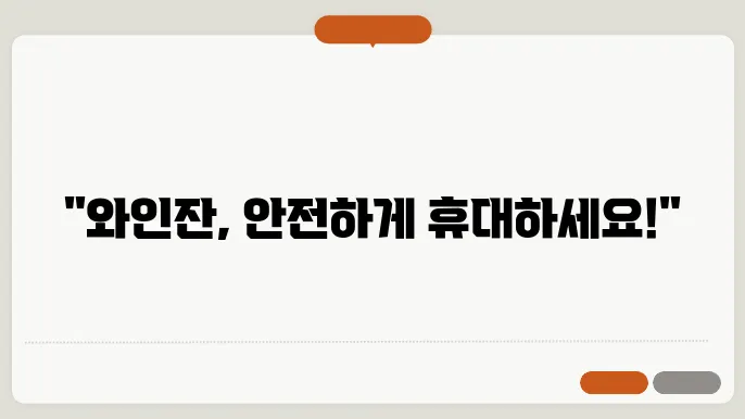 와인잔 가방