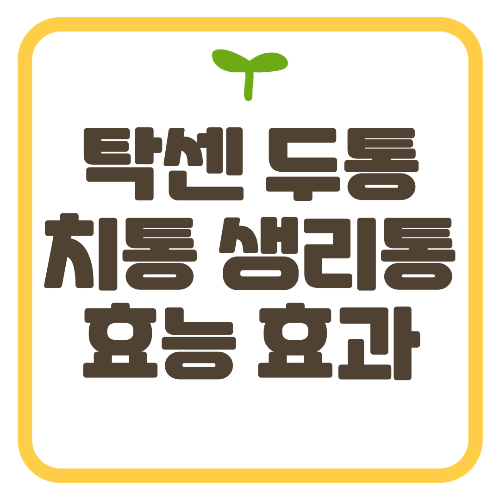 탁센 두통 치통 생리통 효능 효과