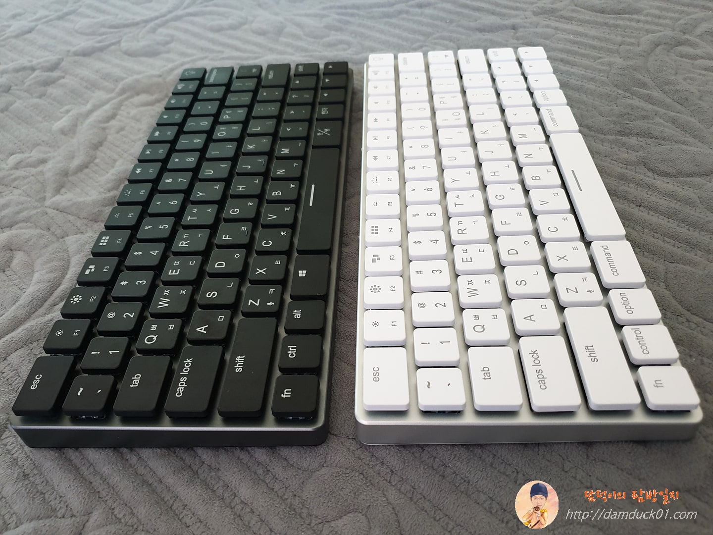 스페이스 그레이와 화이트 탭텍 비교 2