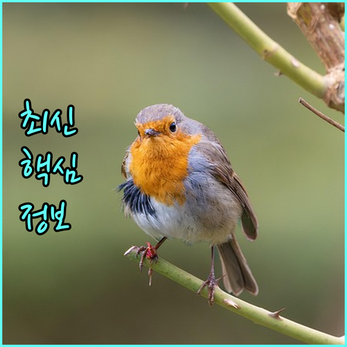 피부 나이 되돌리는 리프팅, 시작 적