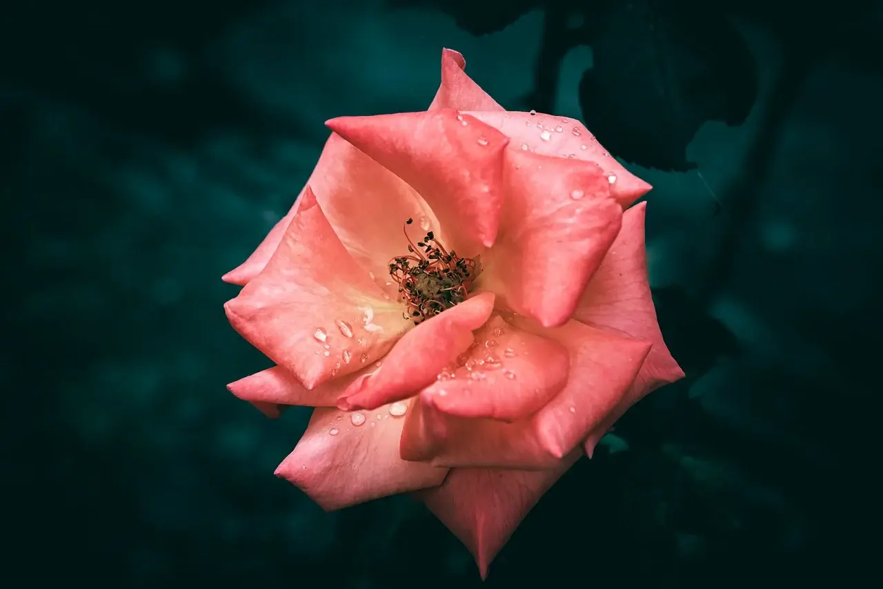 국민취업지원제도 1유형&middot;2유형 완전 정리