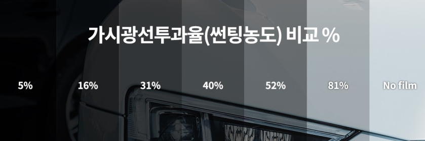 자동차 썬팅