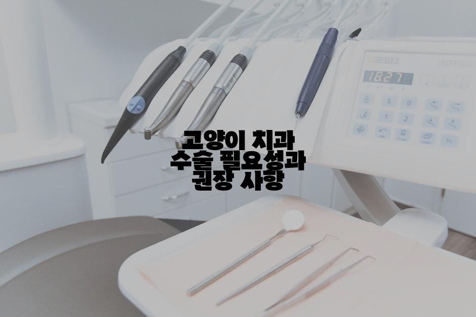 고양이 치과 수술 필요성과 권장 사항