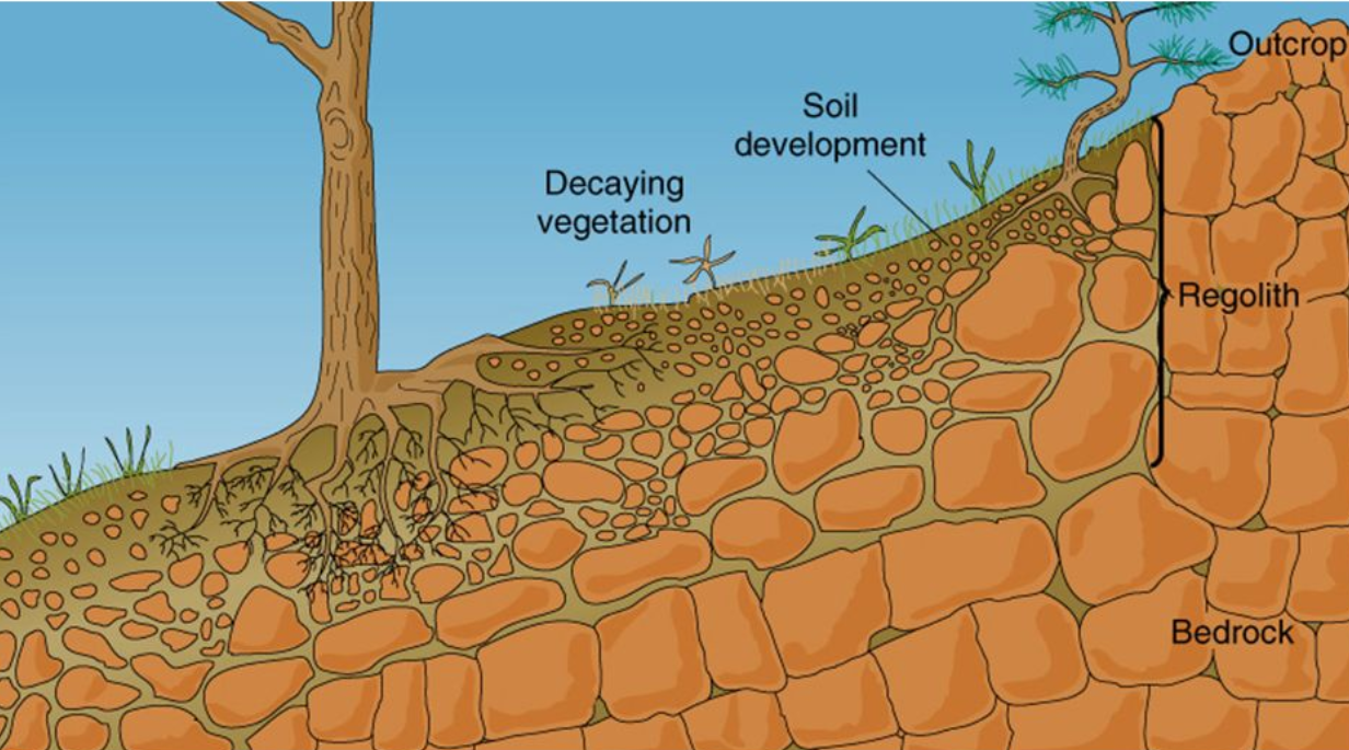 토양 형성과 토양 지질학에 대한 사진