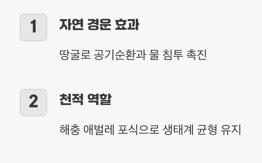 흙을 살리는 고마운 일꾼의 얼굴