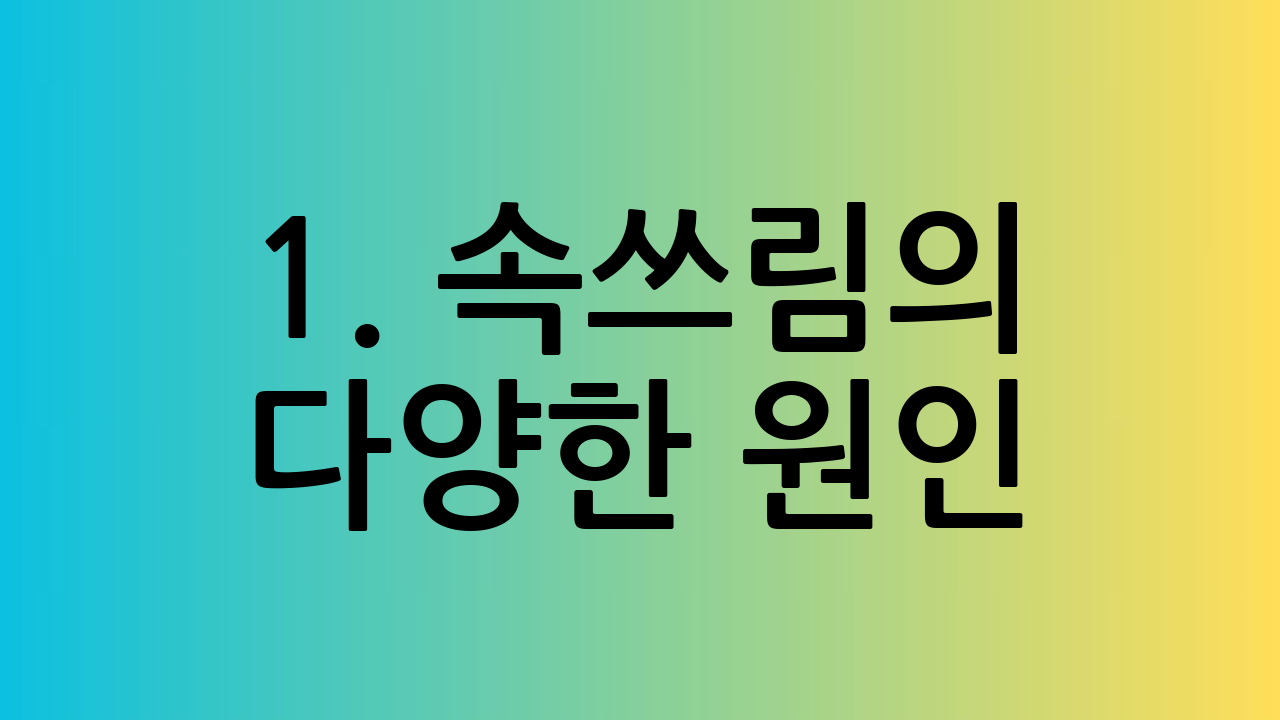 1. 속쓰림의 다양