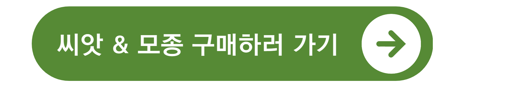 봄에 심는 작물