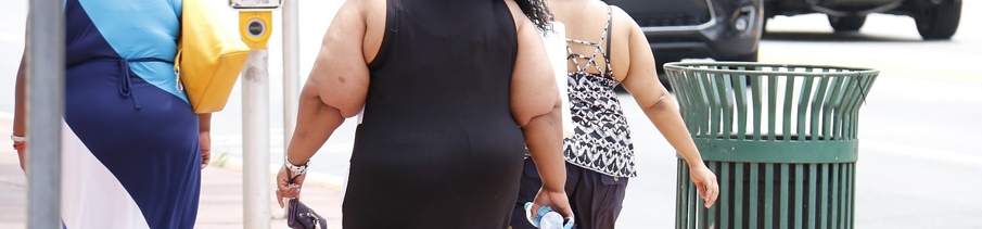 비만인 여성 사진