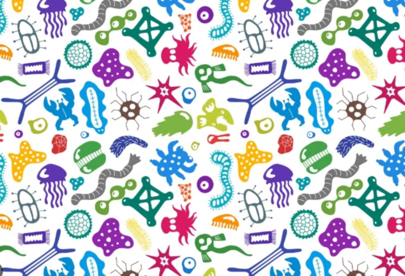 마이크로 바이옴이란? 